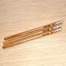 Load image into Gallery viewer, hedgehog journals hb pencil with eraser tip