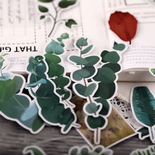 Load image into Gallery viewer, Green Plant Stickers 50Pcs bullet journal scrapbooking decoration