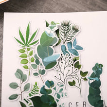 Load image into Gallery viewer, Green Plant Stickers 50Pcs bullet journal scrapbooking decoration