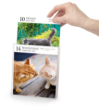 Load image into Gallery viewer, 2024 Calendar Cat Page-A-Day Gallery Desk Calendar