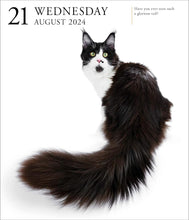 Load image into Gallery viewer, 2024 Calendar Cat Page-A-Day Gallery Desk Calendar