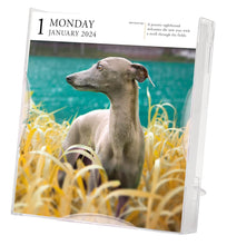 Load image into Gallery viewer, 2024 Calendar Dogs Page-A-Day Gallery Desk Calendar