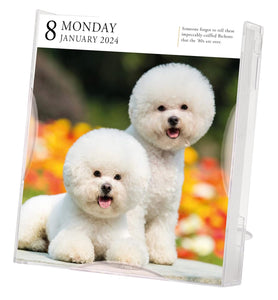 2024 Calendar Dogs Page-A-Day Gallery Desk Calendar