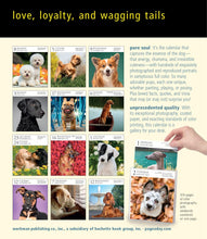 Load image into Gallery viewer, 2024 Calendar Dogs Page-A-Day Gallery Desk Calendar