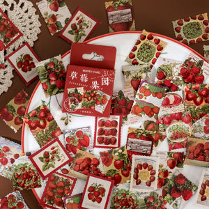 Strawberry Stickers 46 Pcs bullet journal planner sticker