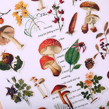 Load image into Gallery viewer, Mushroom Plant Stickers 25Pcs Bullet Journal Scrapbooking
