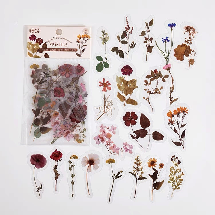 Gypsophila | Pressed Flower Sticker Gypsophila | Pressed Flower Sticker