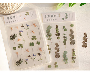 Clover Eucalyptus Stickers 1 Sheet